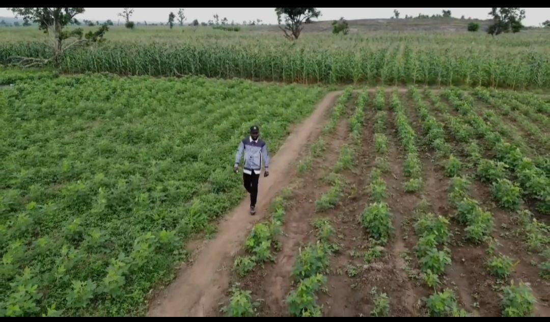DJ Farms Farmland